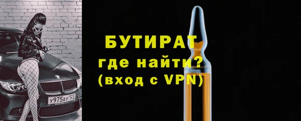 индика Сосновоборск