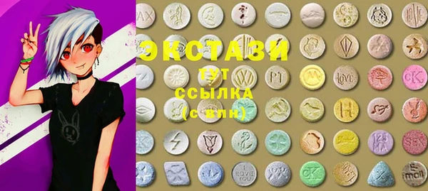 индика Сосновоборск