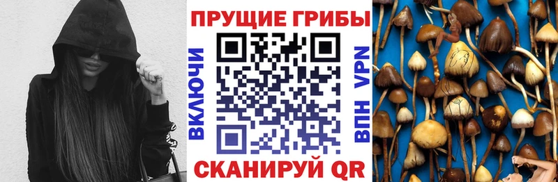 Псилоцибиновые грибы мицелий  где купить наркоту  Семёнов 