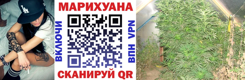 Бошки марихуана планчик  мега вход  Семёнов  купить наркотик 
